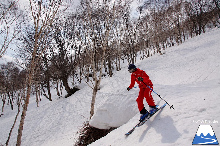 DYNASTAR SKI series Test Ride Days 2017 in ニセコユナイテッド【Day.1】～ニセコグラン・ヒラフ～